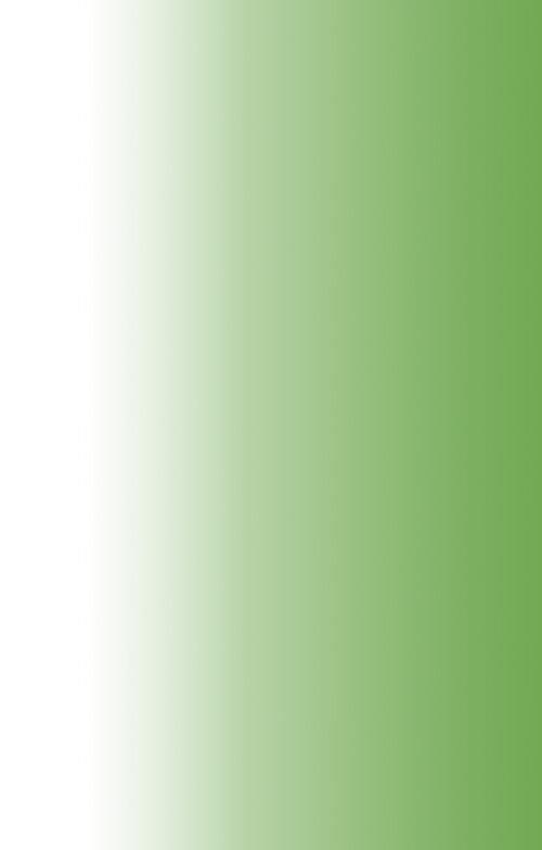 태양빛이 태워가는