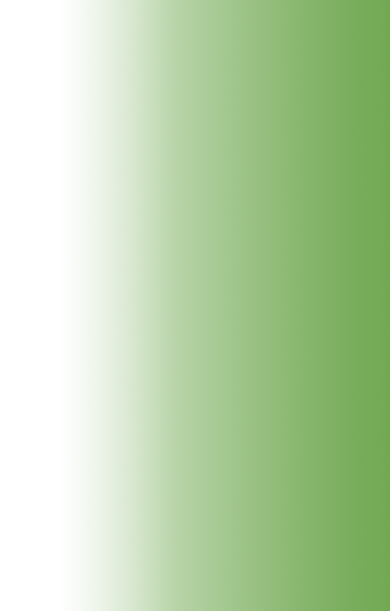 태양빛이 태워가는