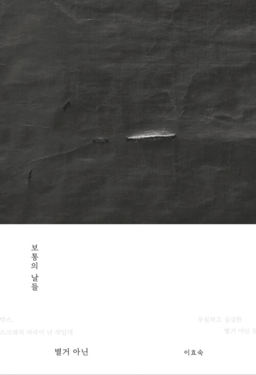 보통의 날들: 별거아닌