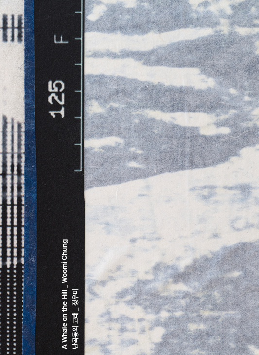 난곡동의 고래 A Whale on the Hill