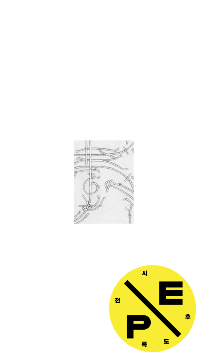 지탱과 제스처 Support and Gesture