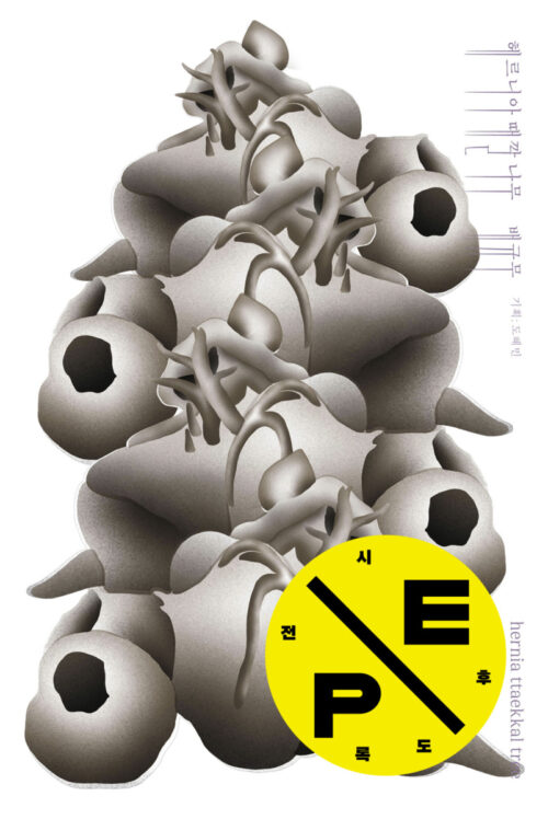 헤르니아 때깔 나무