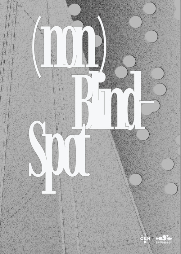 (non)Blind-Spot